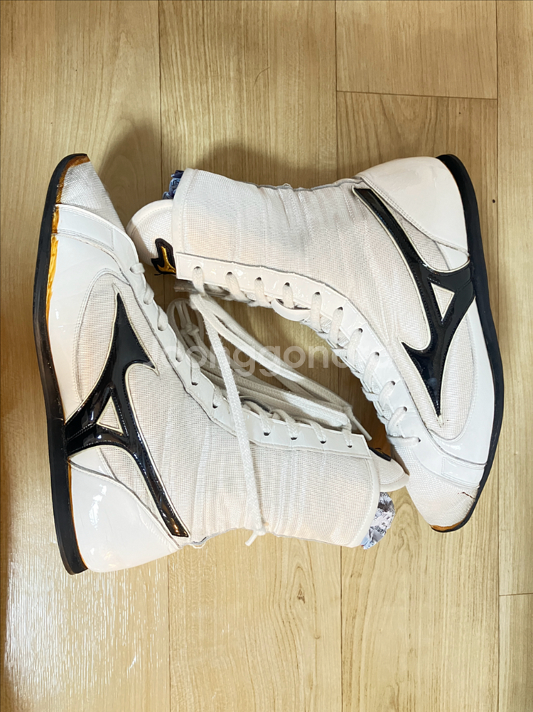 미즈노 피니셔 255--1