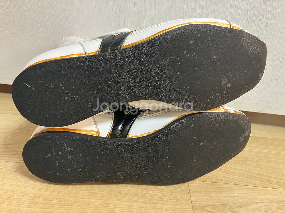 미즈노 피니셔 255--3