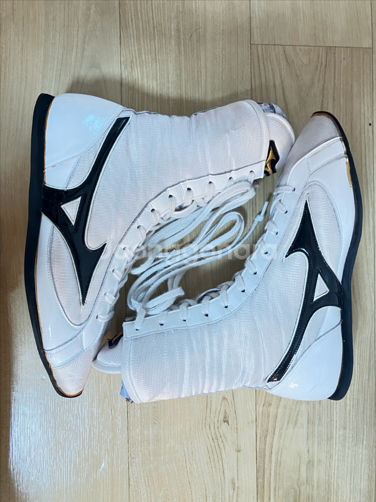 미즈노 피니셔 255--2