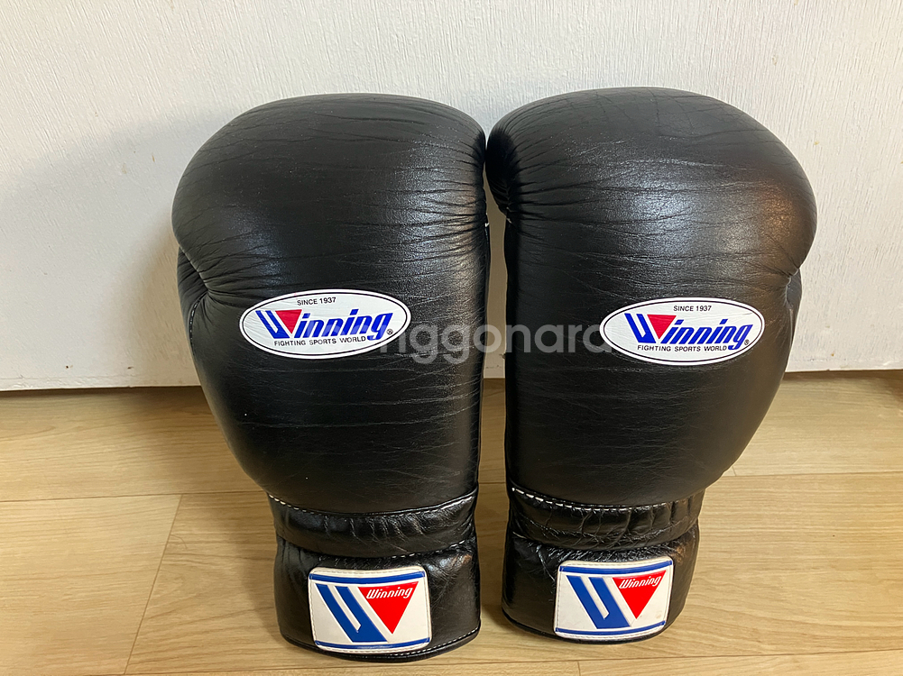 위닝 블랙 스파링 세트--5