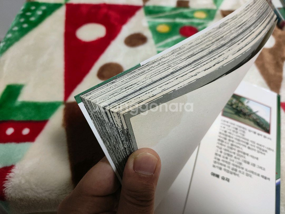 (만화) 남장여자 여장남자 (1~2, 대여점) 등 총 6종 [아베 슈지] (총 77권, 1종 제외 완결)--9