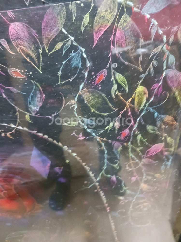 미녀와 야수 액자 69*92 유리--3