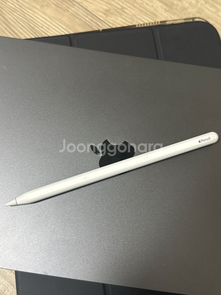 애플 아이패드 에어 5세대 256gb + 애플펜슬 2세대--1