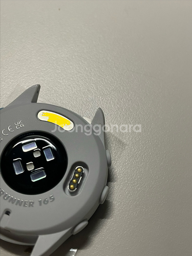 가민 포러너 165--1