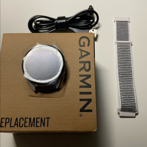 가민 포러너 165