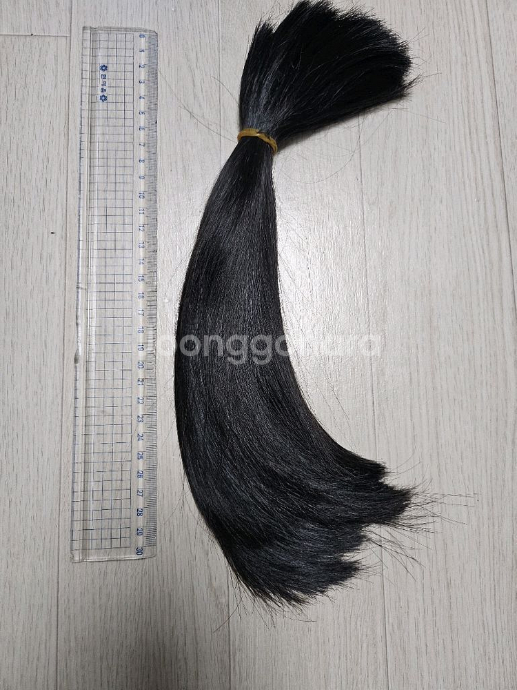 인모 머리카락--5