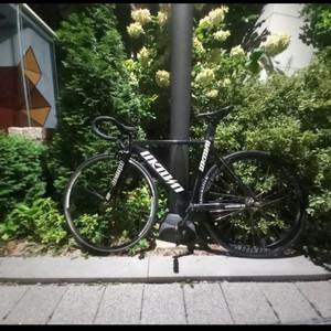 언노운 싱귤러리터2 22년식 판/대