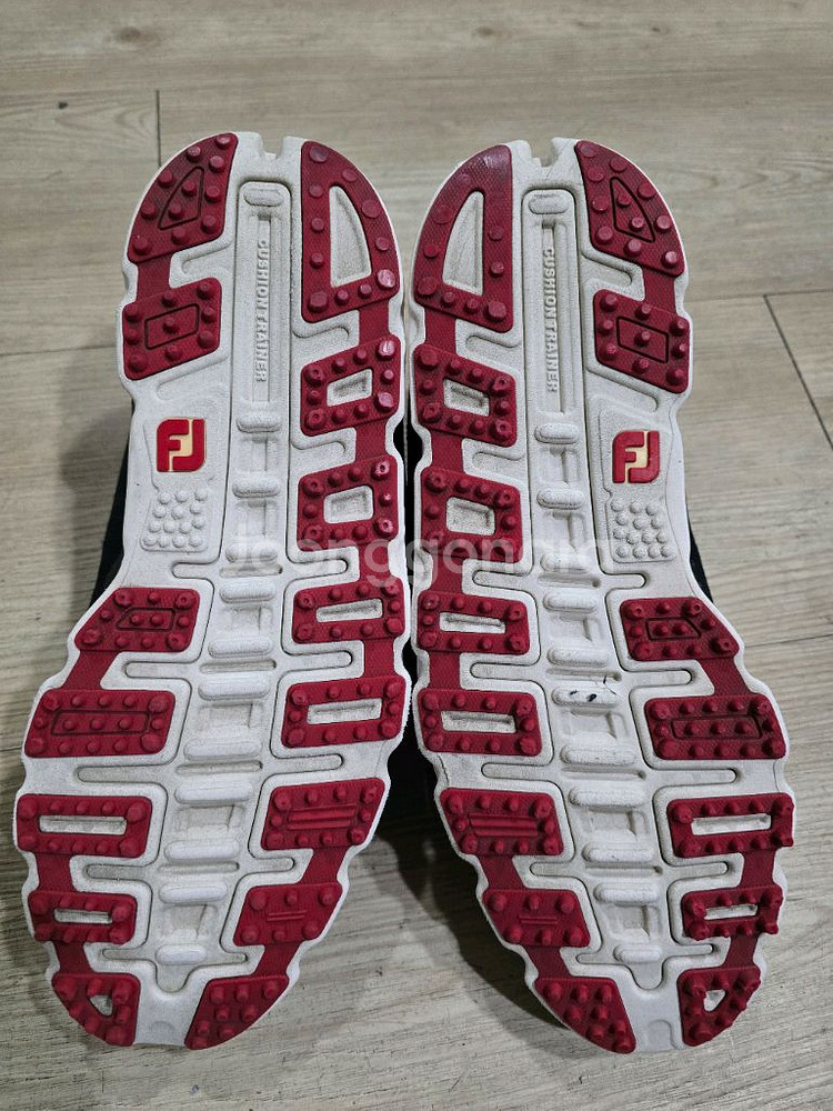 풋조이 골프 수퍼라이트 스파이크리스 골프화 260mm--5