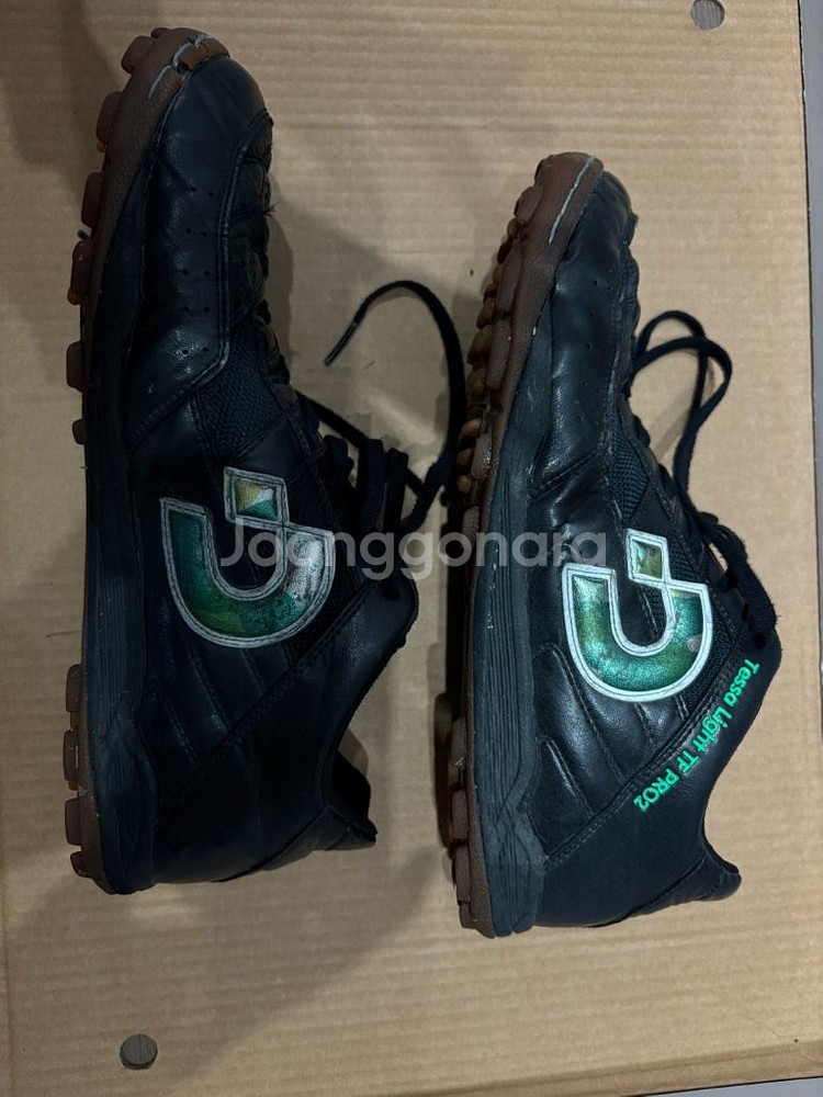 데스포르치 테사라이트 프로2 TF 270--5