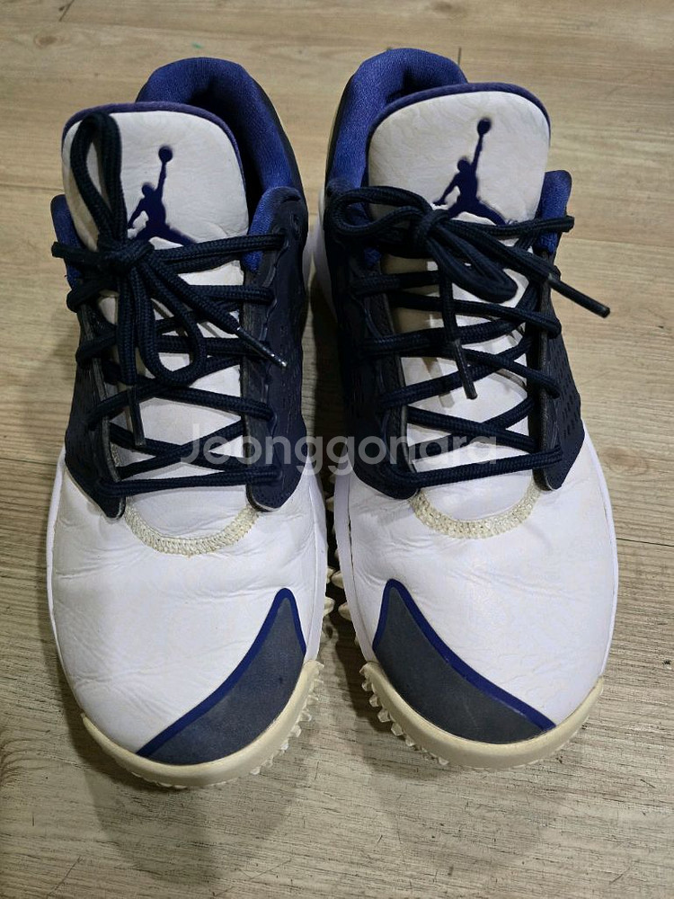 나이키 조던 트레이너 ST G 옵시디언 골프화 270m--1