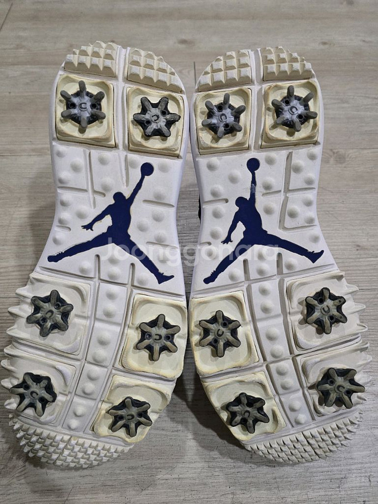 나이키 조던 트레이너 ST G 옵시디언 골프화 270m--6