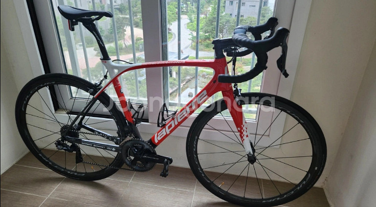 라피에르 로드자전거--0