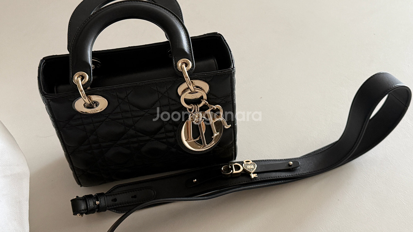 디올 레이디백 미디움--1