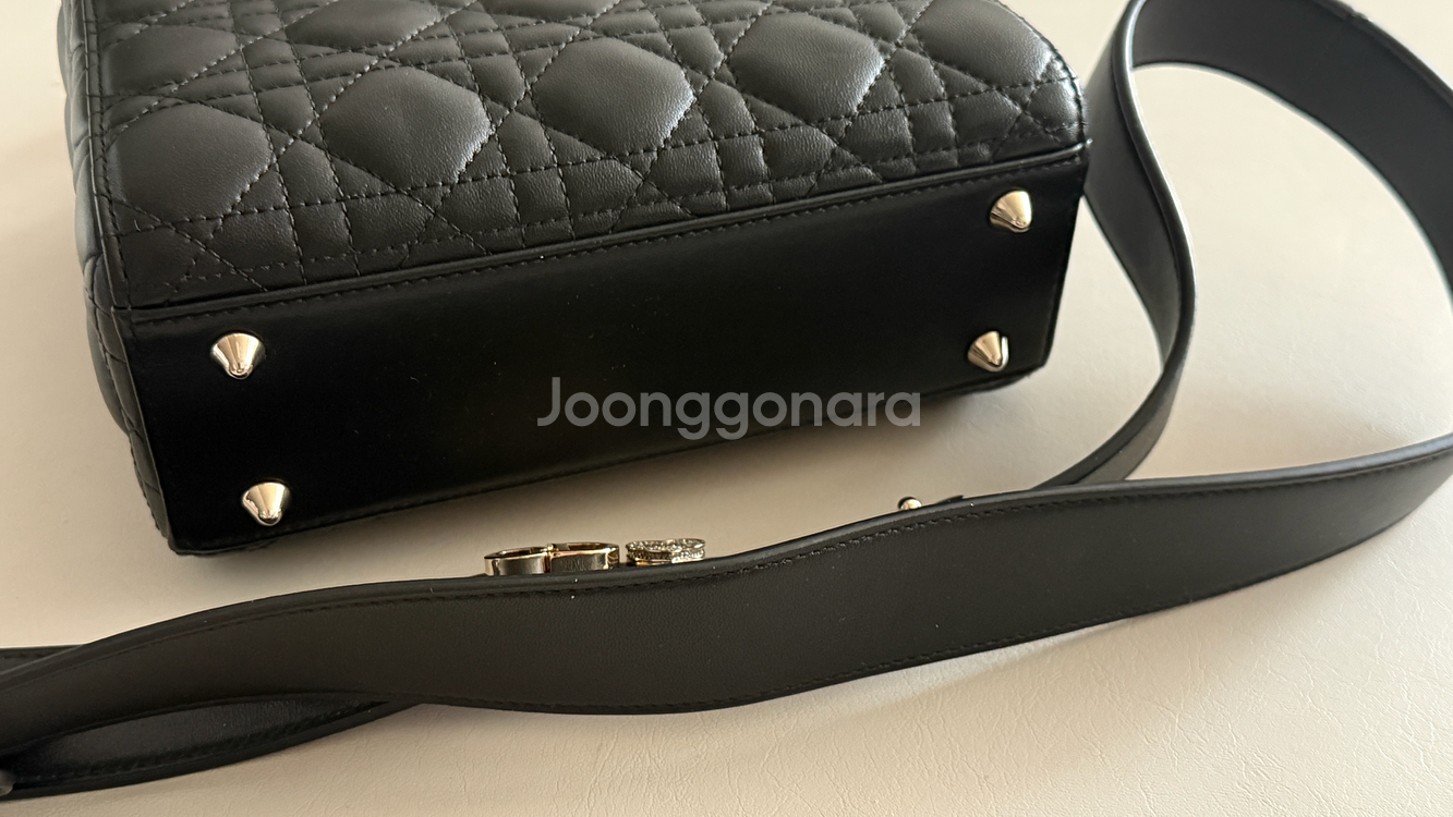 디올 레이디백 미디움--3