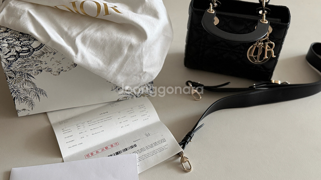 디올 레이디백 미디움--6