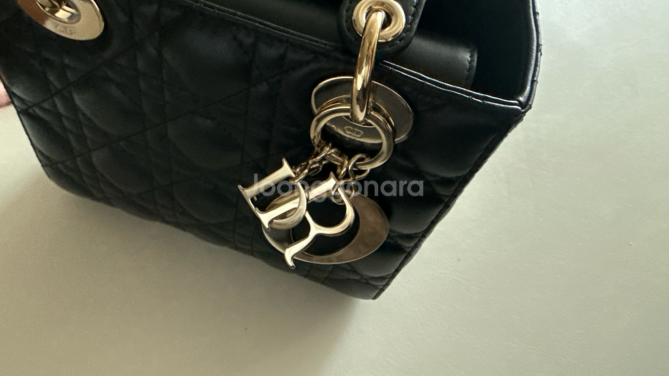 디올 레이디백 미디움--5