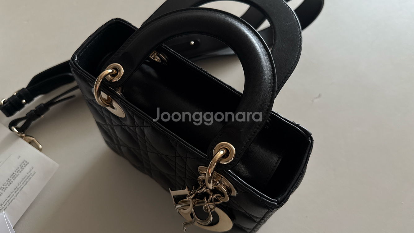디올 레이디백 미디움--4