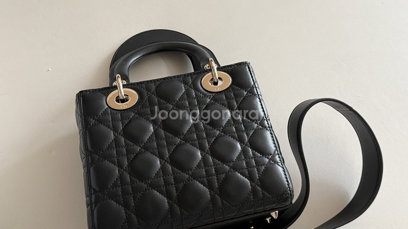 디올 레이디백 미디움--2