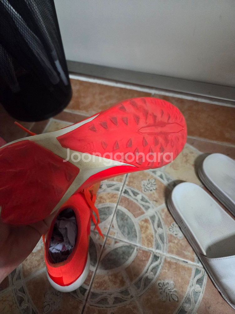 아디다스 프레데터 풋살화 260mm팝니다--0