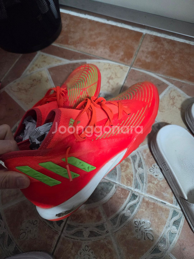 아디다스 프레데터 풋살화 260mm팝니다--1