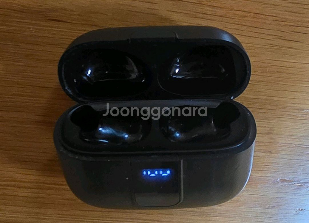 블라우풍트 블루투스 무선 이어폰 본체--0