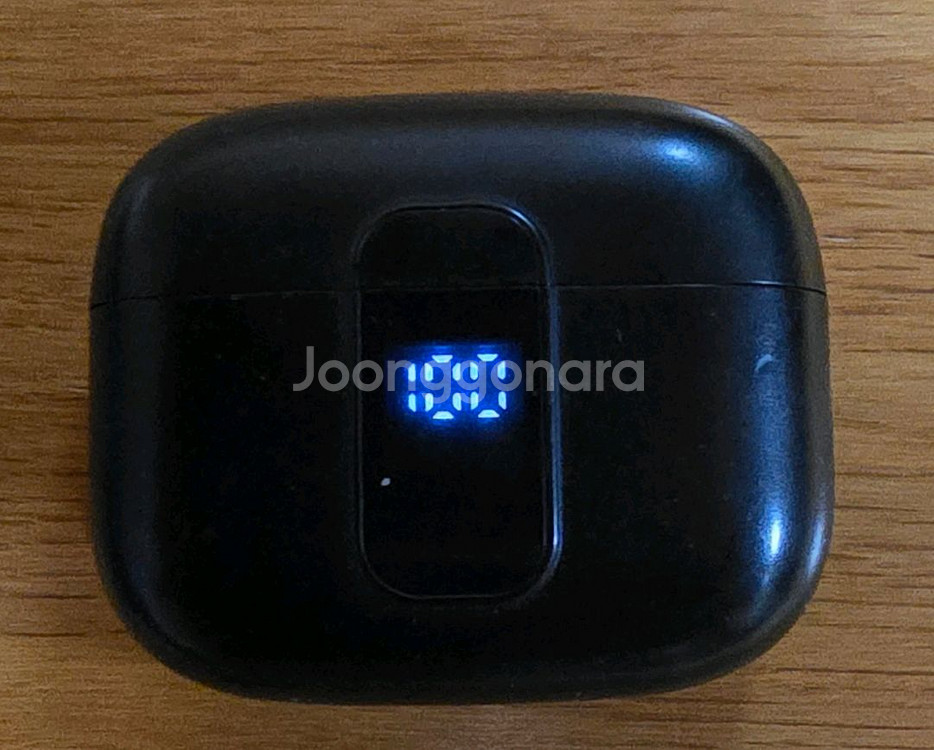 블라우풍트 블루투스 무선 이어폰 본체--1