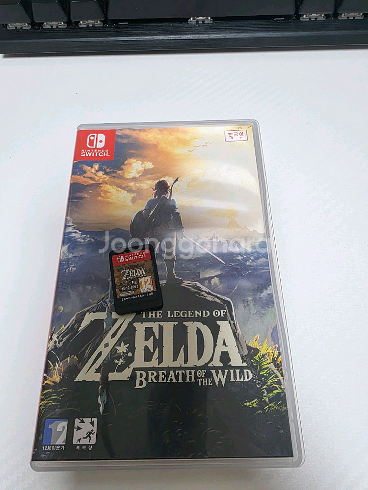 닌텐도스위치 젤다의전설 야생의숨결 타이틀--0