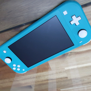닌텐도 스위치 라이트 터콰이즈
