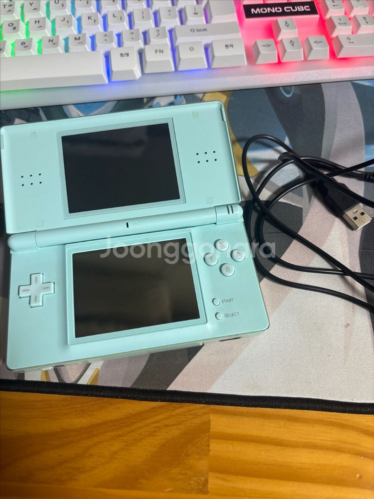 닌텐도 DS Lite 민트--2