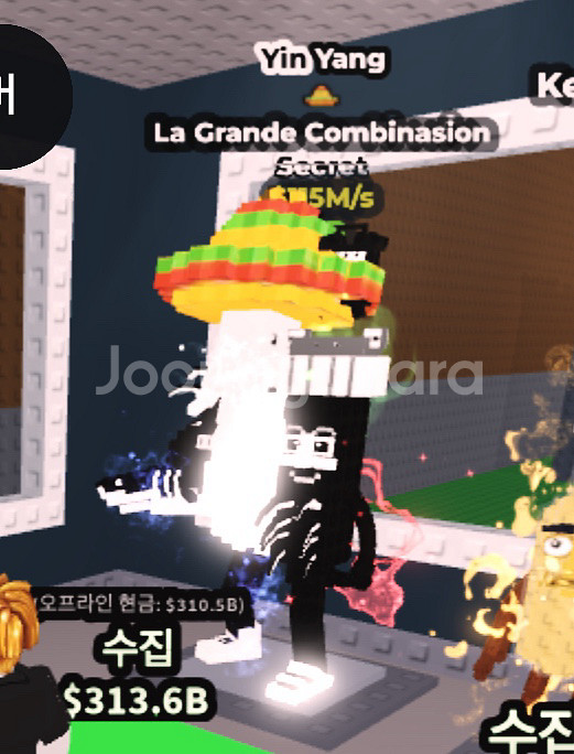 브레인롯즈 음양 라그 115m--0