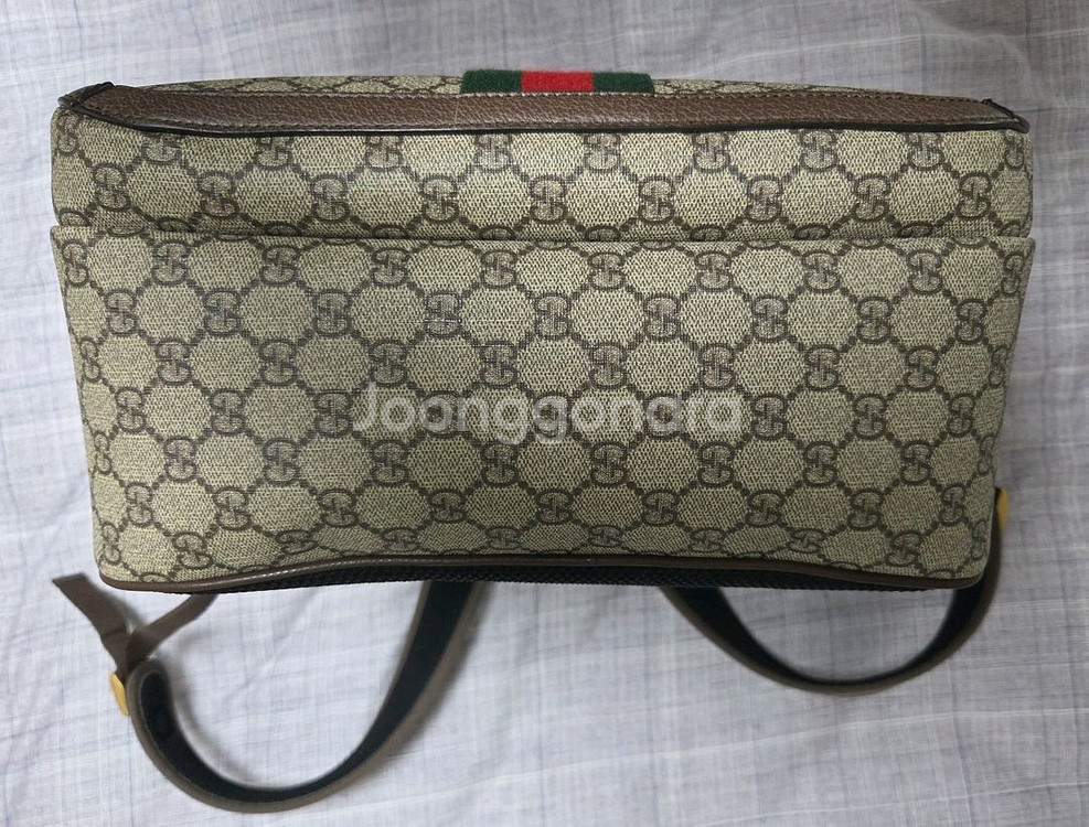 ] 구찌 오피디아 백팩 팝니다. 미디엄사이즈--2