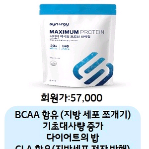 시너지 맥시멈 프로틴 단백질