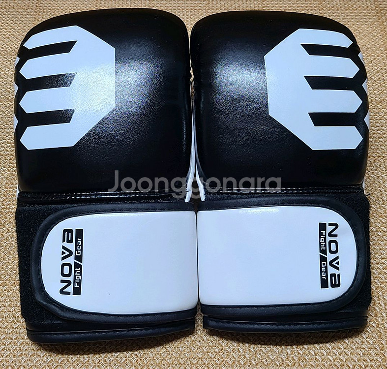 노바 복싱 백글러브--1