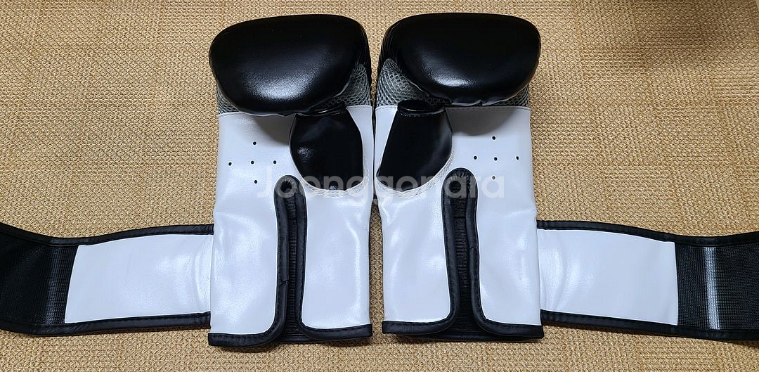 노바 복싱 백글러브--3