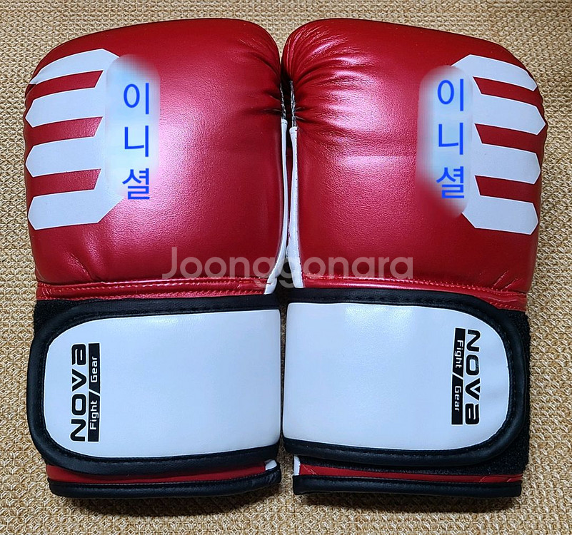 노바 복싱 백글러브--4