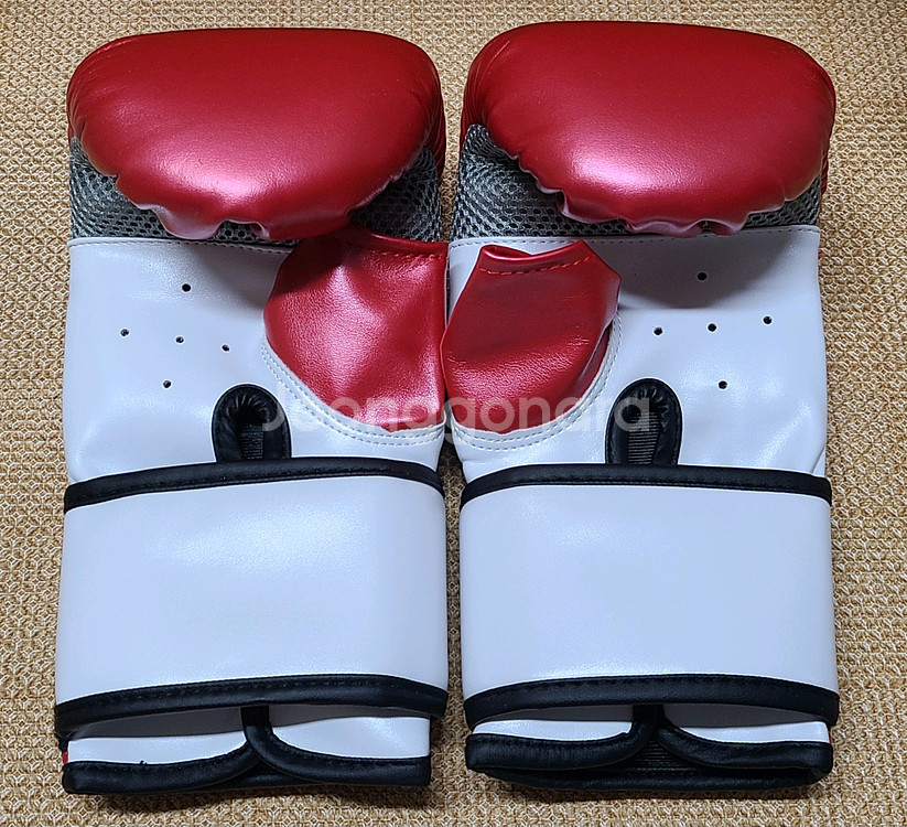 노바 복싱 백글러브--5