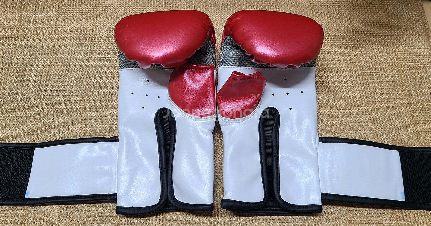 노바 복싱 백글러브--6