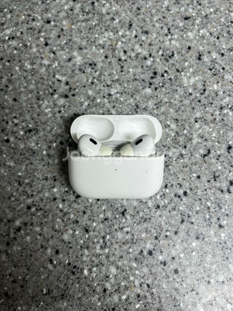 애플 에어팟 프로 2세대 AirPod Pro 2 + 케이스 포함--3