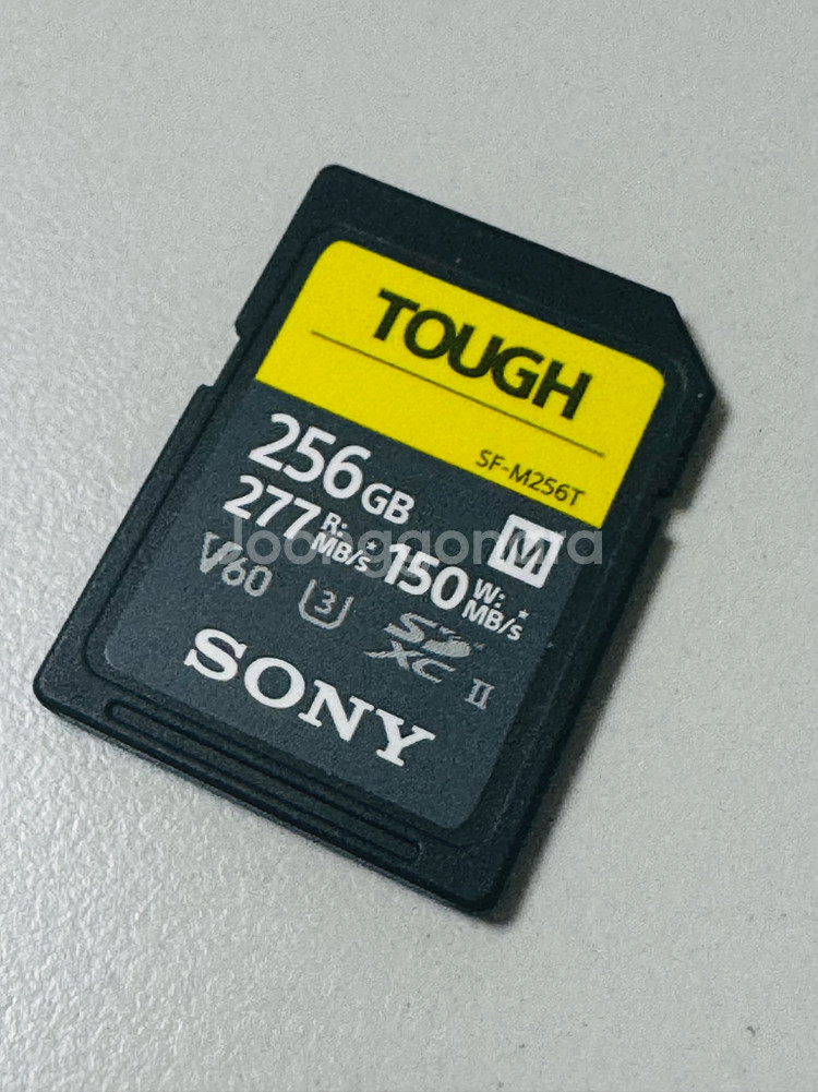 소니 터프 SD카드 256GB--0