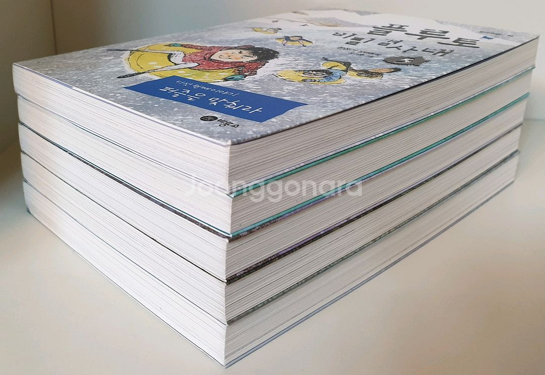 비룡소 플루토 비밀 결사대5권 세트(상태 최상)--2