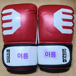 노바 복싱 백글러브