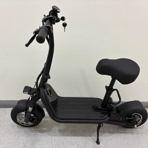 전동 스쿠터 킥보드 접이식 미니 오토바이 48V 10AH 800W