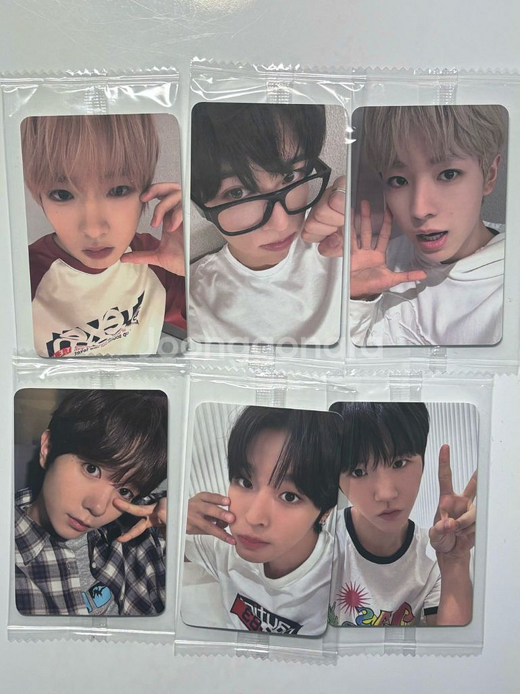 엔시티위시 케타포 영통 미공포 케이타운포유 포카--0