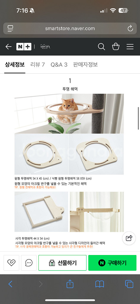 스윗캣 캣폴 원형 투명해먹--1