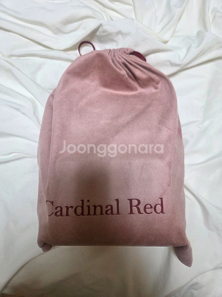 카디널레드 레더 백팩--1