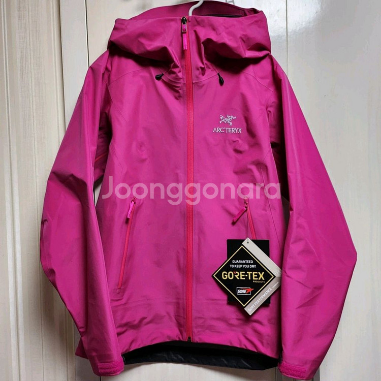 아크테릭스 베타--1