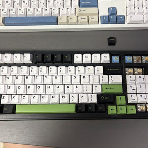 독거미 f99 경해축