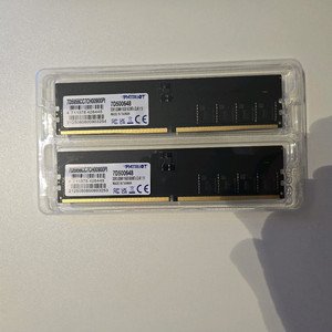 하이닉스칩 패트리어트 DDR5 32GB 메모리 세트 (16기가2개)
