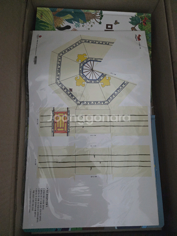 고고세계아이--5