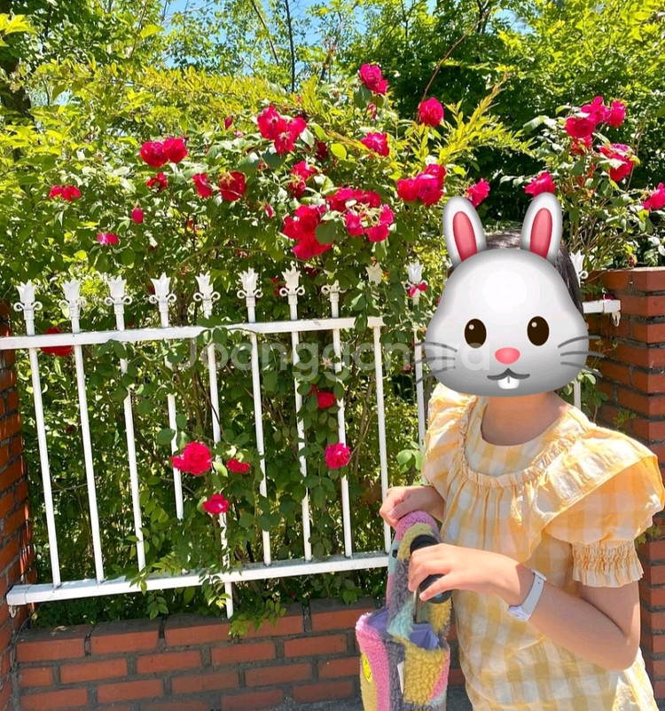 미포넷 체크 블라우스 10y--4